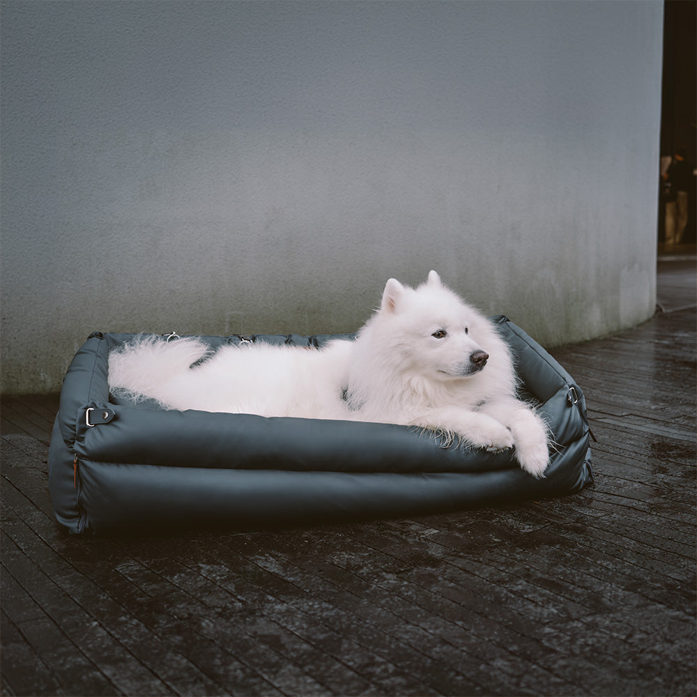 Koiran turvaistuin – Mukavuus ja suoja