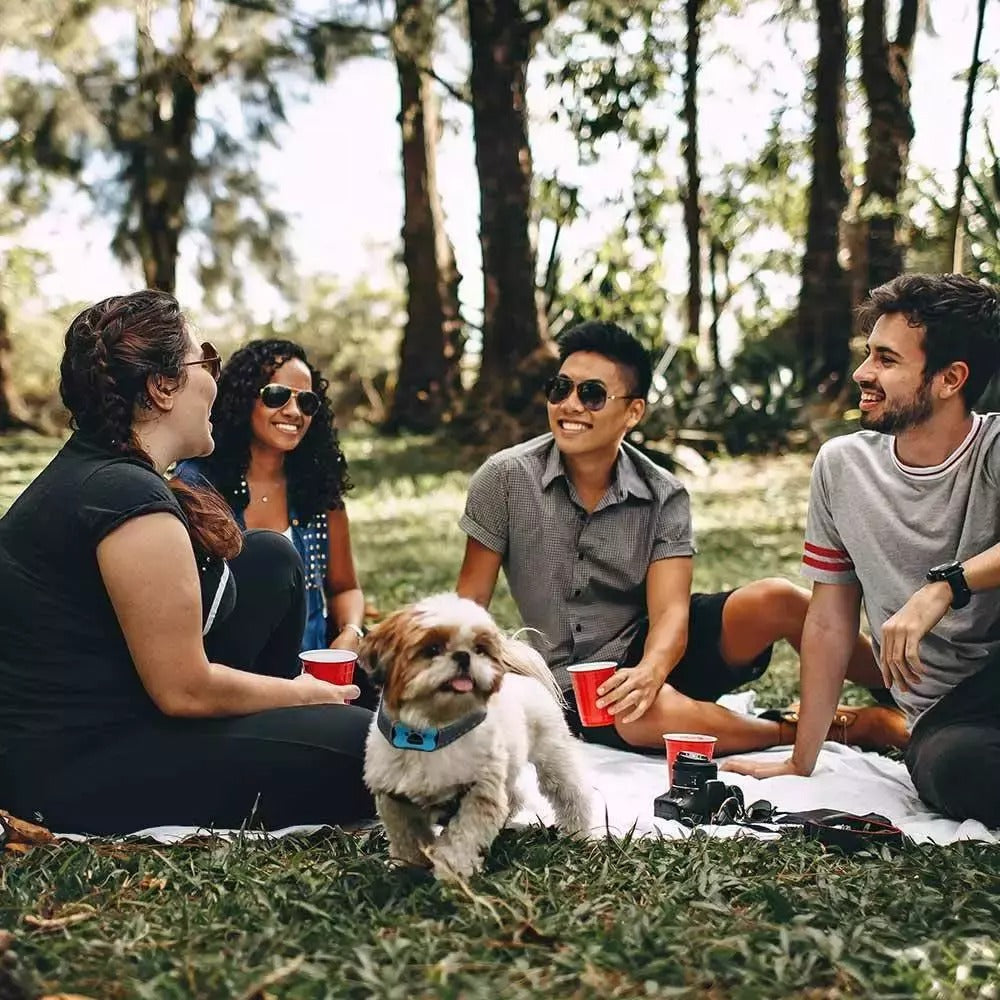 Collar Antiladridos Para Perros — Adiestramiento Suave y Eficaz