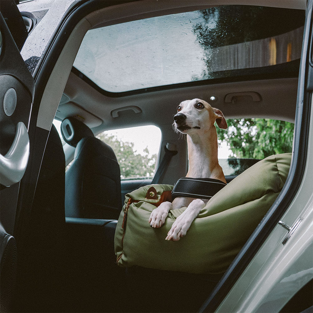 Koiran turvaistuin – Mukavuus ja suoja