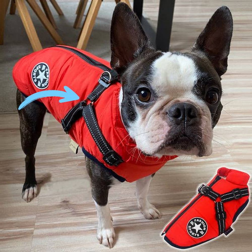 Parka Impermeabilă Pentru Câini - Protecție & Stil