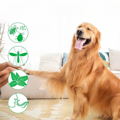 ספריי נגד טפילים טבעי לאורך זמן — הגנה יעילה ביום יום