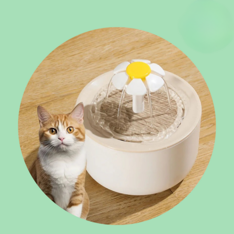 Kissalle tarkoitettu vesiputous — Jatkuva hydratoituminen ja aina raikasta vettä