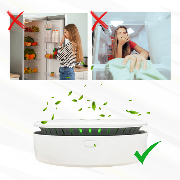 مولد الأوزون المحمول - تنقية فعالة وسهلة الحمل