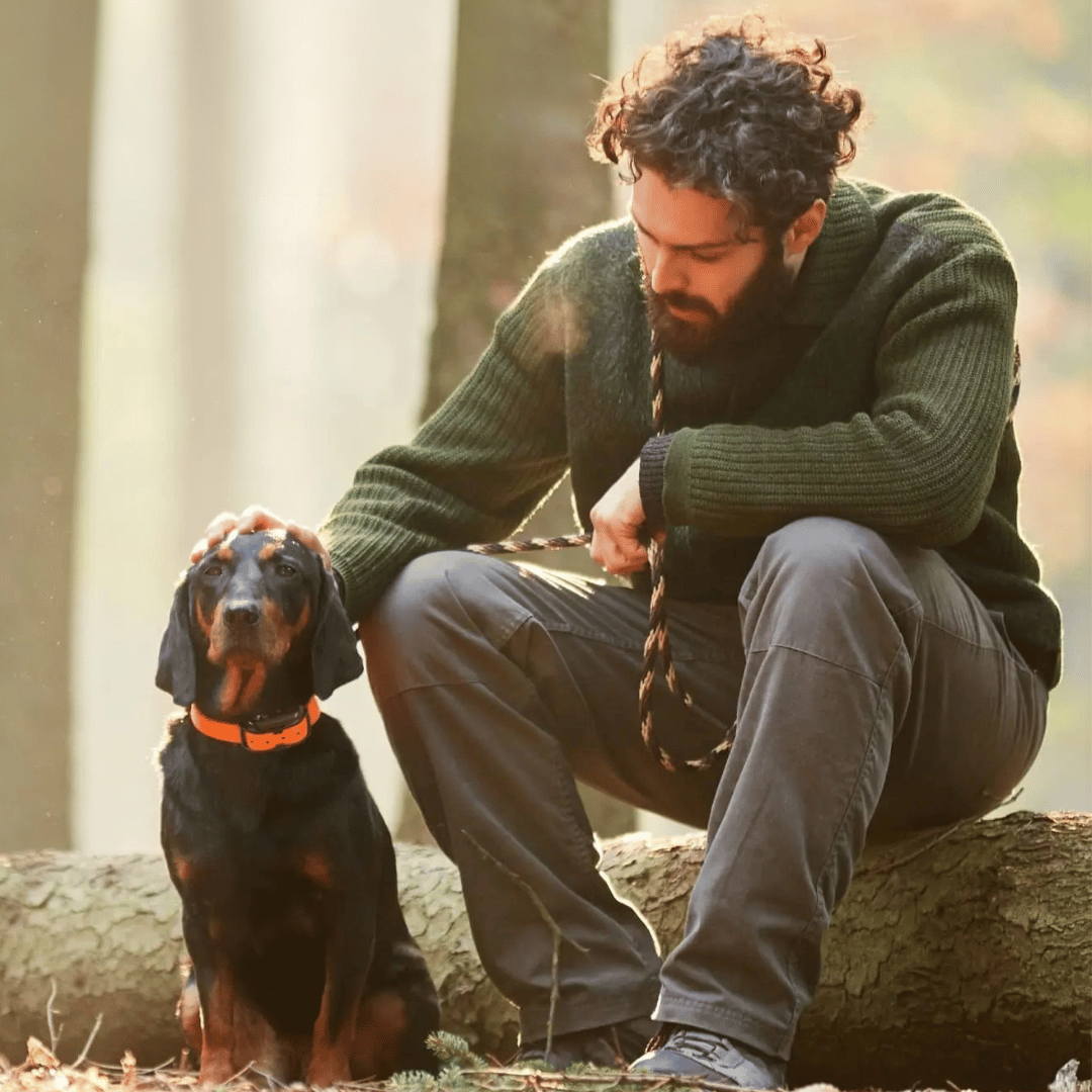 Obroża do tresury na odległość – precyzja i optymalny zasięg