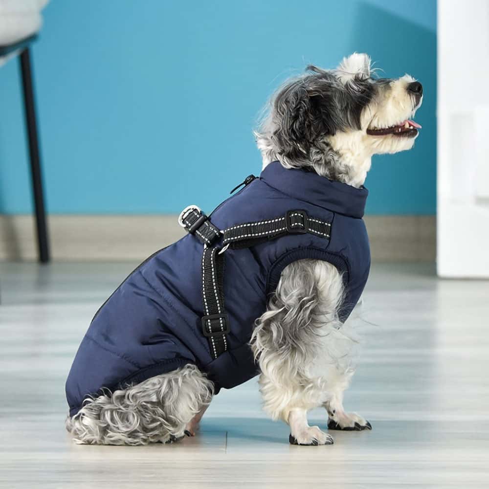 Parka Impermeabilă Pentru Câini - Protecție & Stil