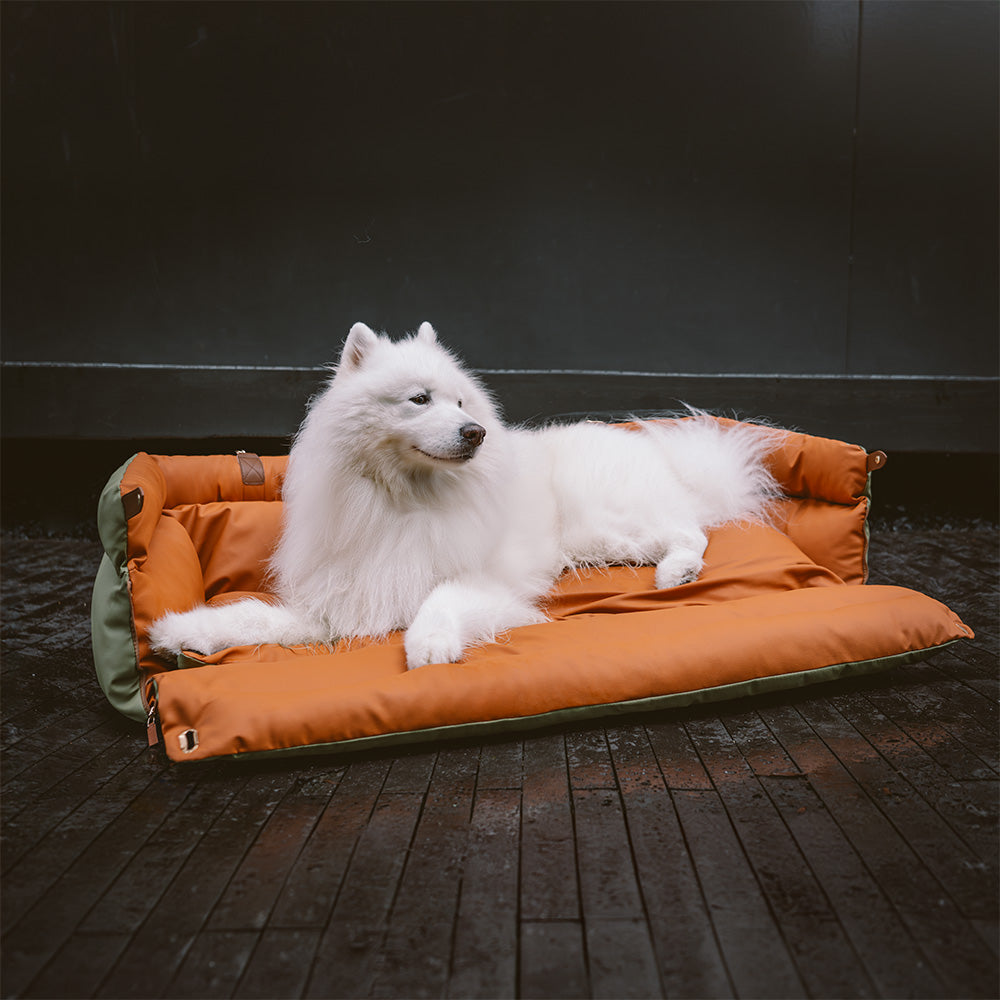 Koiran turvaistuin – Mukavuus ja suoja