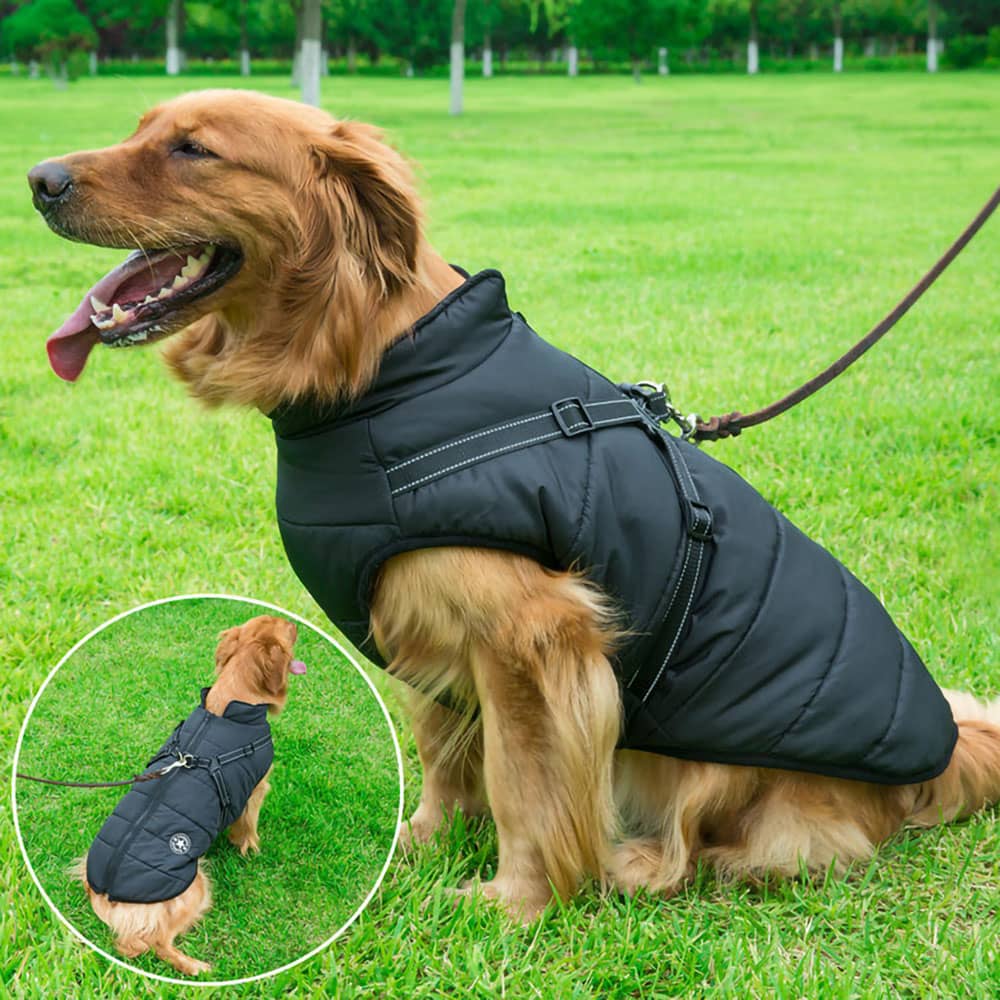 Parka Impermeabilă Pentru Câini - Protecție & Stil