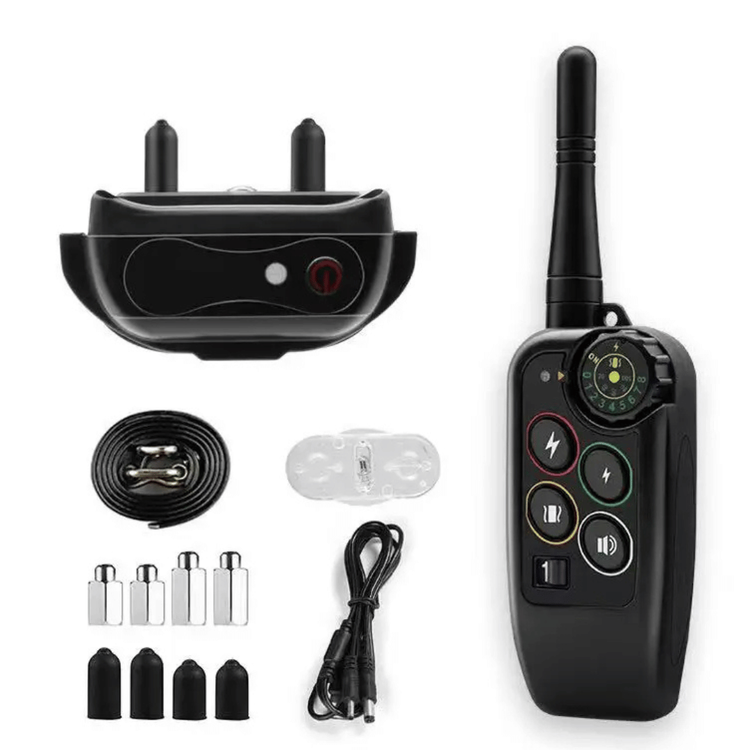 Obroża do tresury na odległość – precyzja i optymalny zasięg