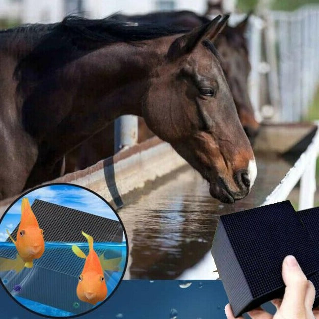 Vattenrenare för djur – Rent och hälsosamt vatten varje dag