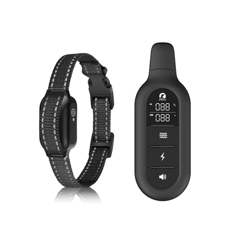 Távvezérlős Képző Nyakörv – Hatékony Képzés