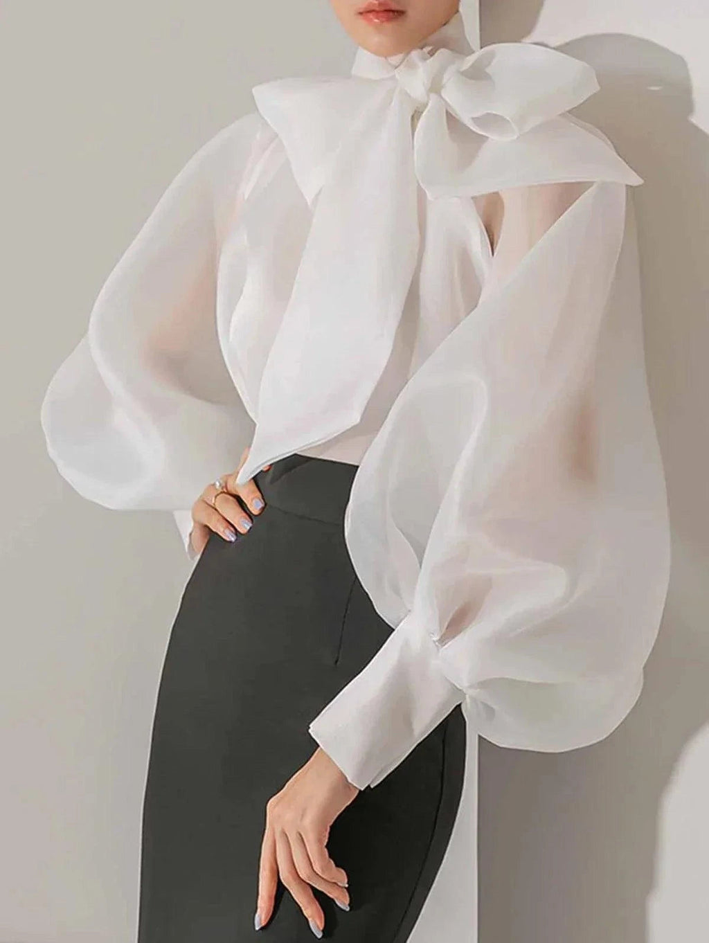 Clara | Transparent Blus — Långa Ärmar Och Elegant Knut 