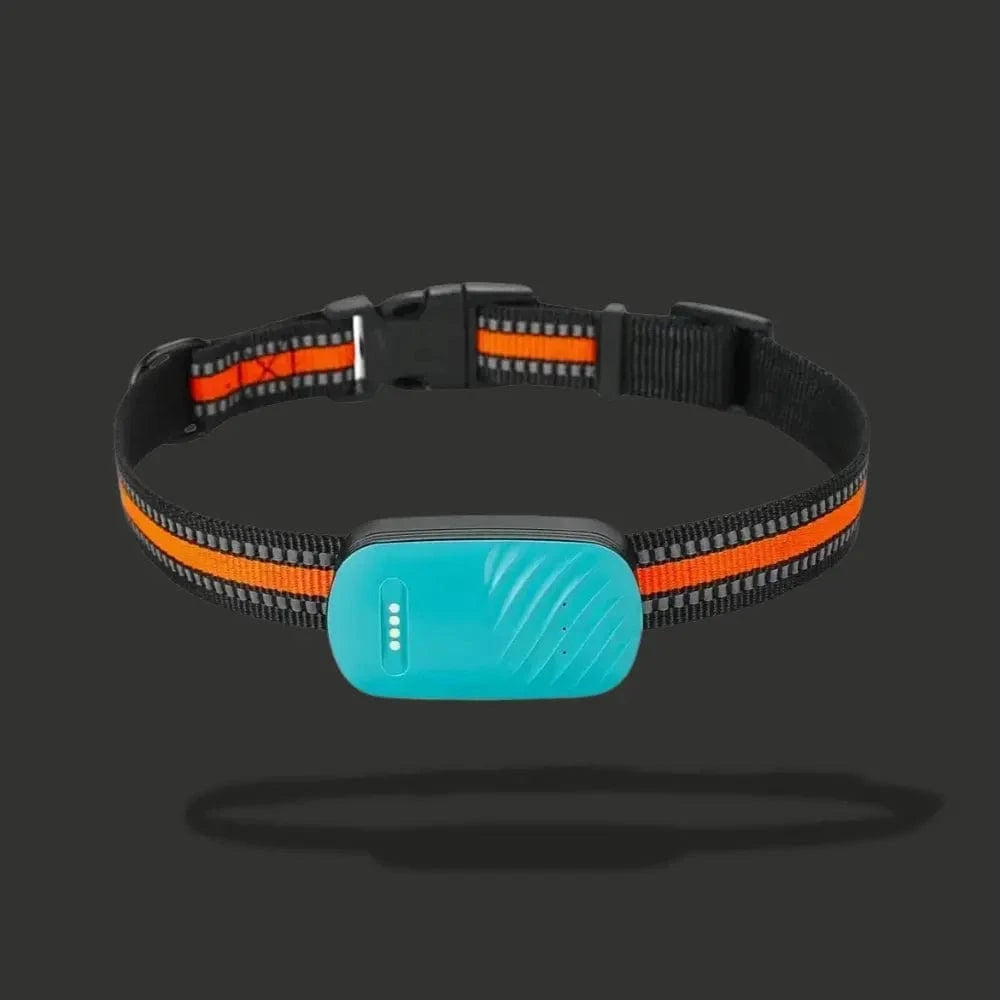 GPS Κολιέ Εντοπισμού Για Γάτες – Τοποθέτηση Και Καθημερινή Άνεση 