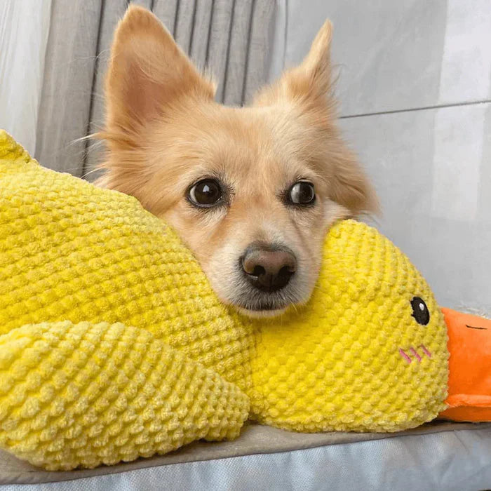 Soothing Duck Toy for Dog – Play and Relaxation Companion 