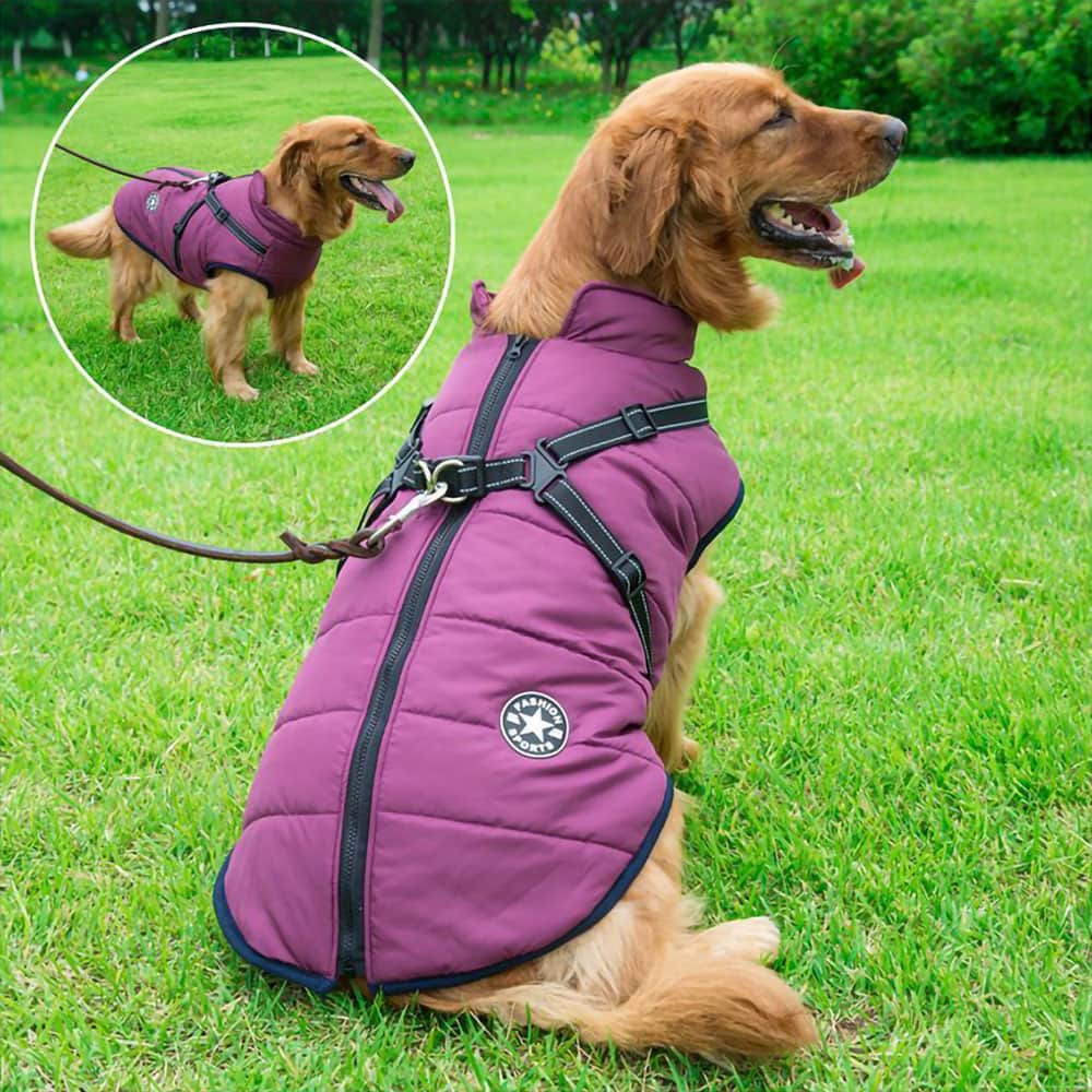Parka Impermeabilă Pentru Câini - Protecție & Stil 