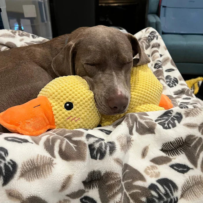 Soothing Duck Toy for Dog – Play and Relaxation Companion 