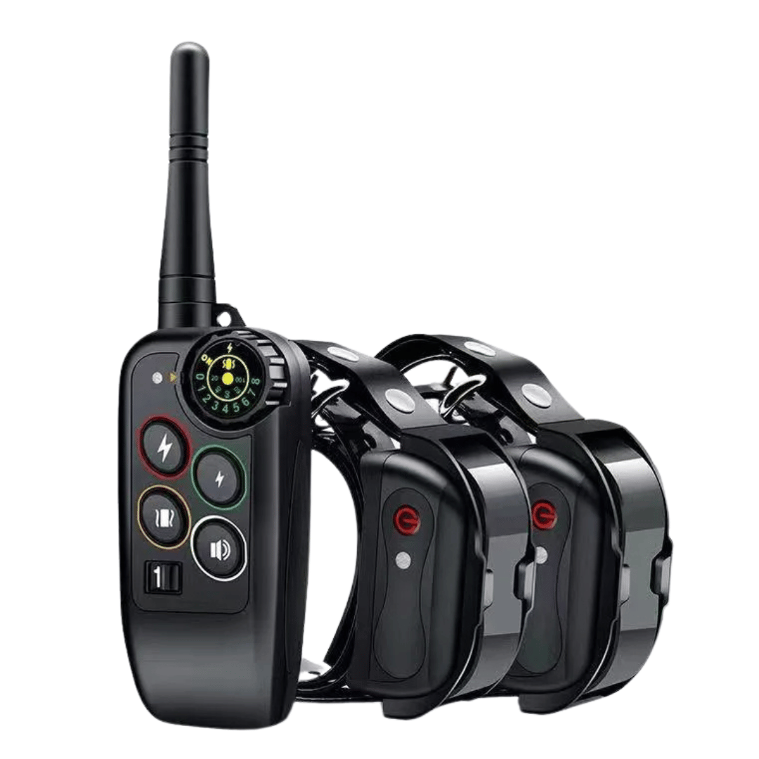 Obroża do tresury na odległość – precyzja i optymalny zasięg 