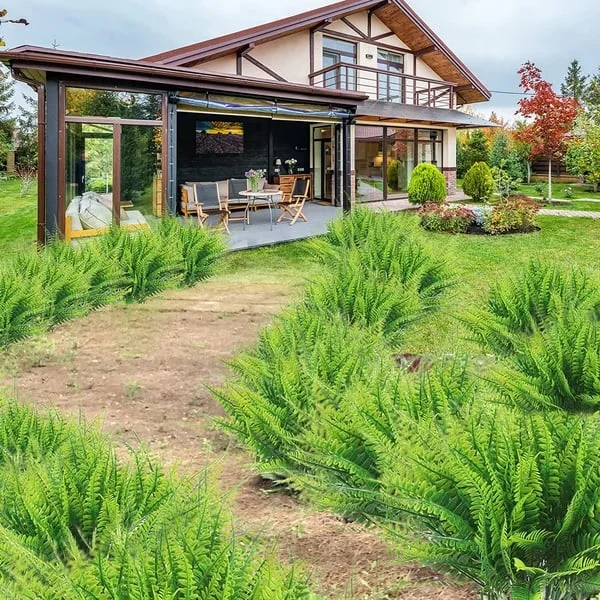 Kunstmatige Decoratieve Varen – Realistische Uiterlijk En Lange Duurzaamheid 