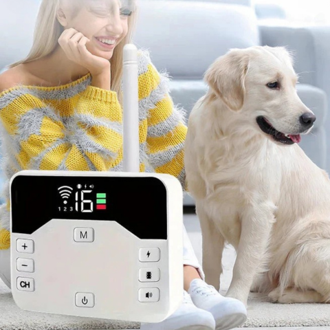 Bezdrôtové ohrady s výcvikovým obojkom – bezpečnosť a výcvik pre psa 