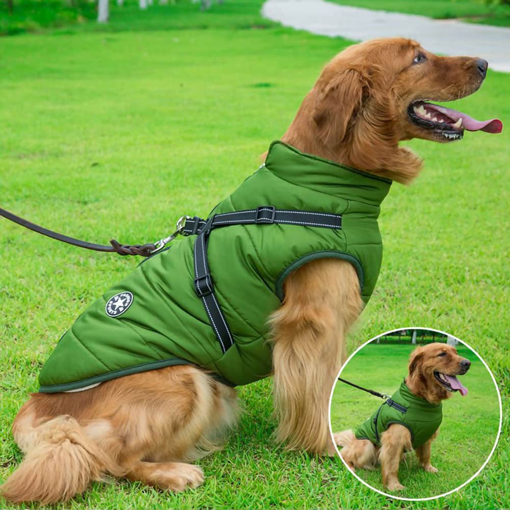 Parka Impermeabilă Pentru Câini - Protecție & Stil 