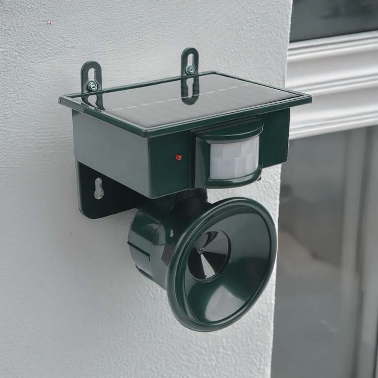 Elektronisk Avskräckare För Trädgård — Jagar Fåglar Och Skyddar Dina Utrymmen 