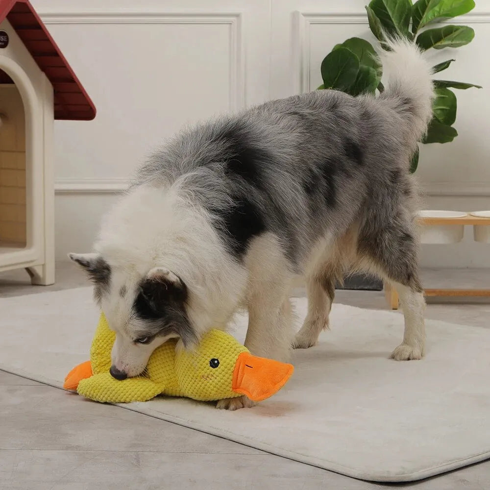 Soothing Duck Toy for Dog – Play and Relaxation Companion 